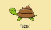 Turdle